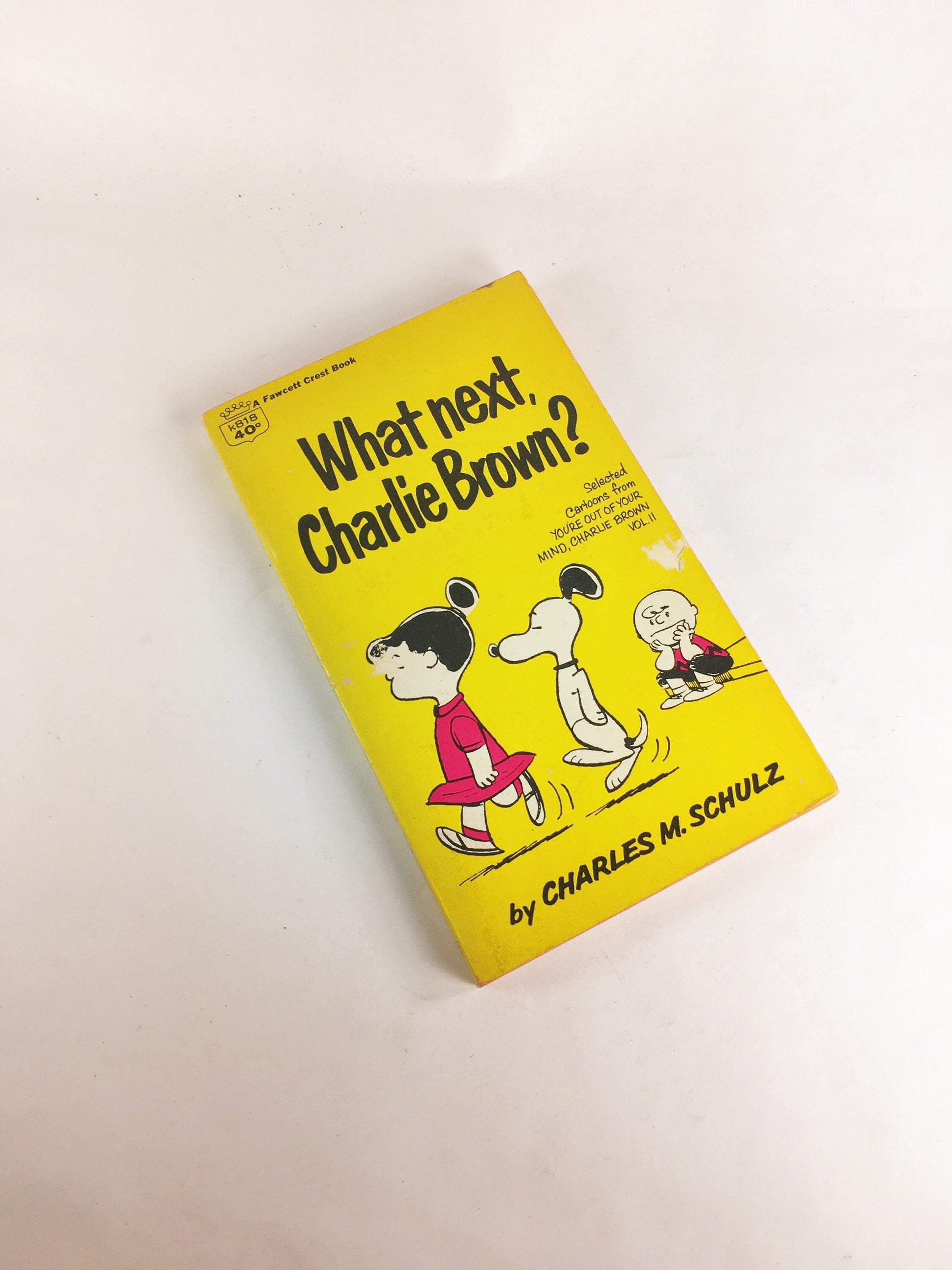 1964 Charlie Brown vintage paperback books by Charles Schulz. What's Next, Slide Snoopy Lucy Woodstock Linus. Beat friend gift