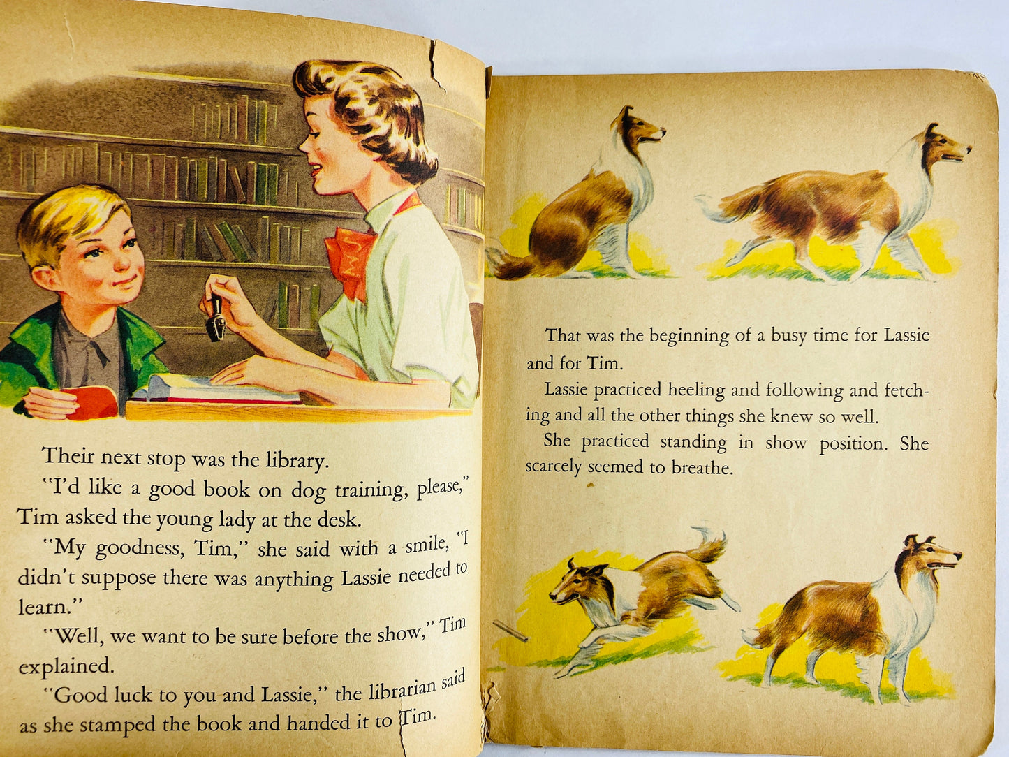 Lassie Shows the Way vintage Little Golden Book. POOR CONDITION Children's book. Torn pages Please see pictures