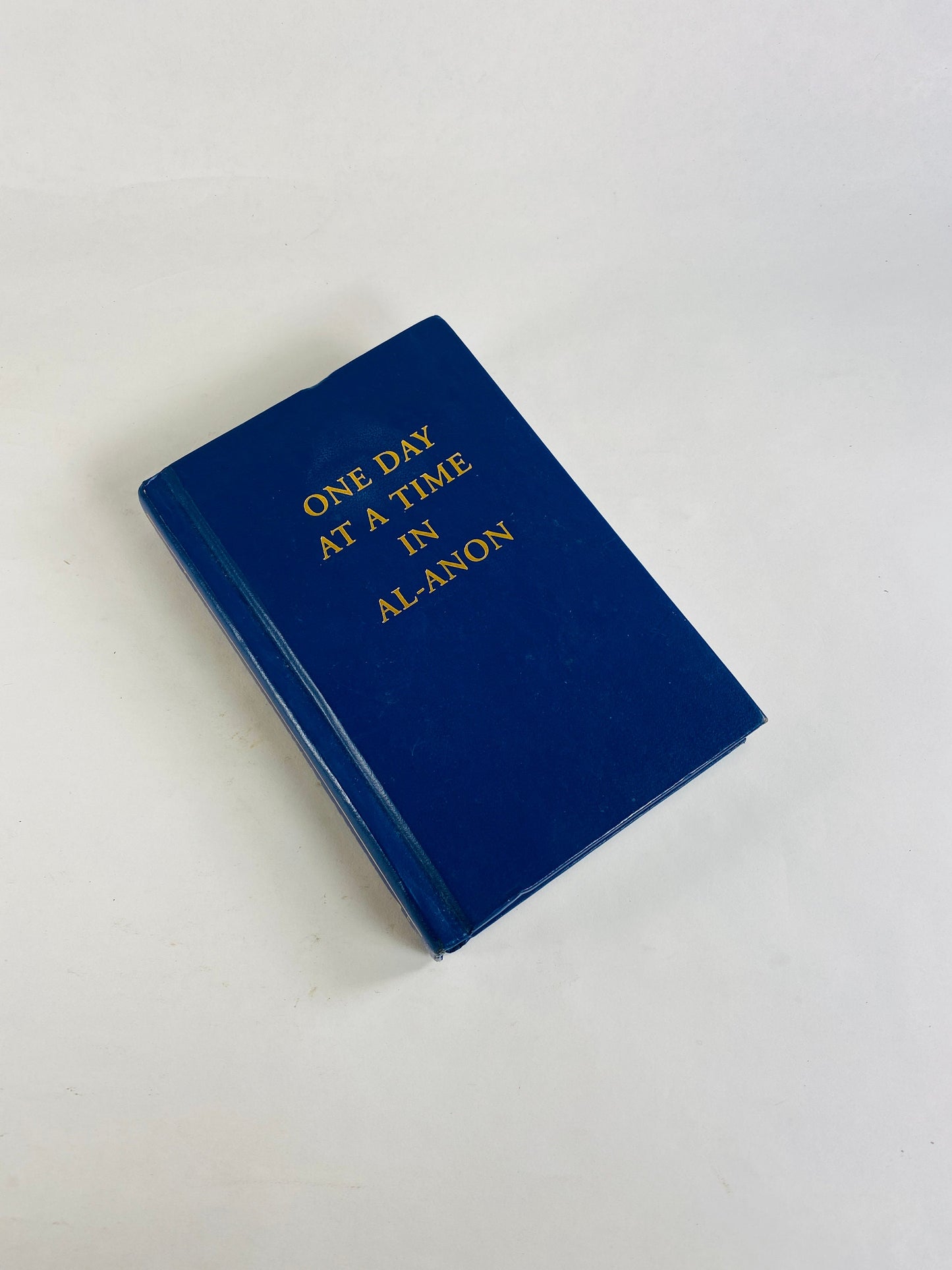 One Day at a Time circa 1989 Vintage Alcoholics Anonymous. Addiction Al-Anon Recovery. Sobriety Gift. Vintage blue book