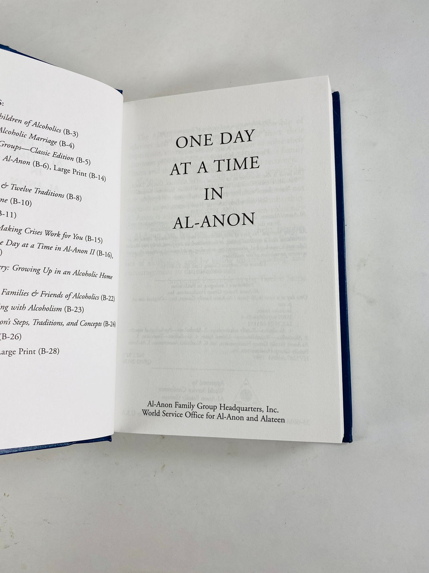 One Day at a Time circa 1989 Vintage Alcoholics Anonymous. Addiction Al-Anon Recovery. Sobriety Gift. Vintage blue book
