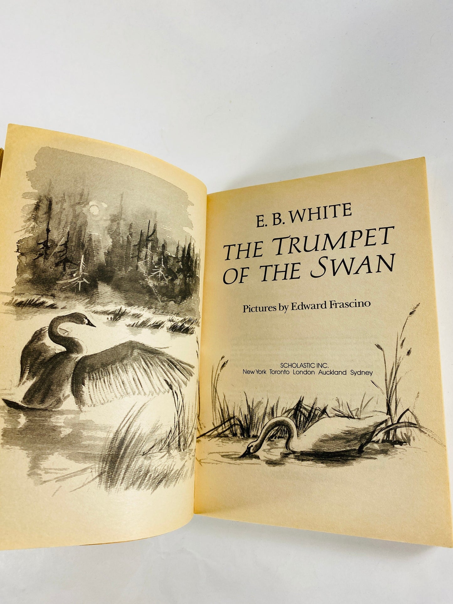 Trumpet of the Swan by EB White vintage paperback book illustrated by Edward Frascino Collector gift by author of Charlotte's Web circa 1987