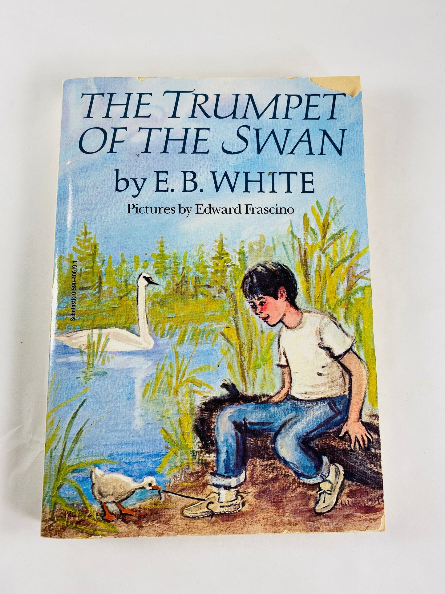 Trumpet of the Swan by EB White vintage paperback book illustrated by Edward Frascino Collector gift by author of Charlotte's Web circa 1987