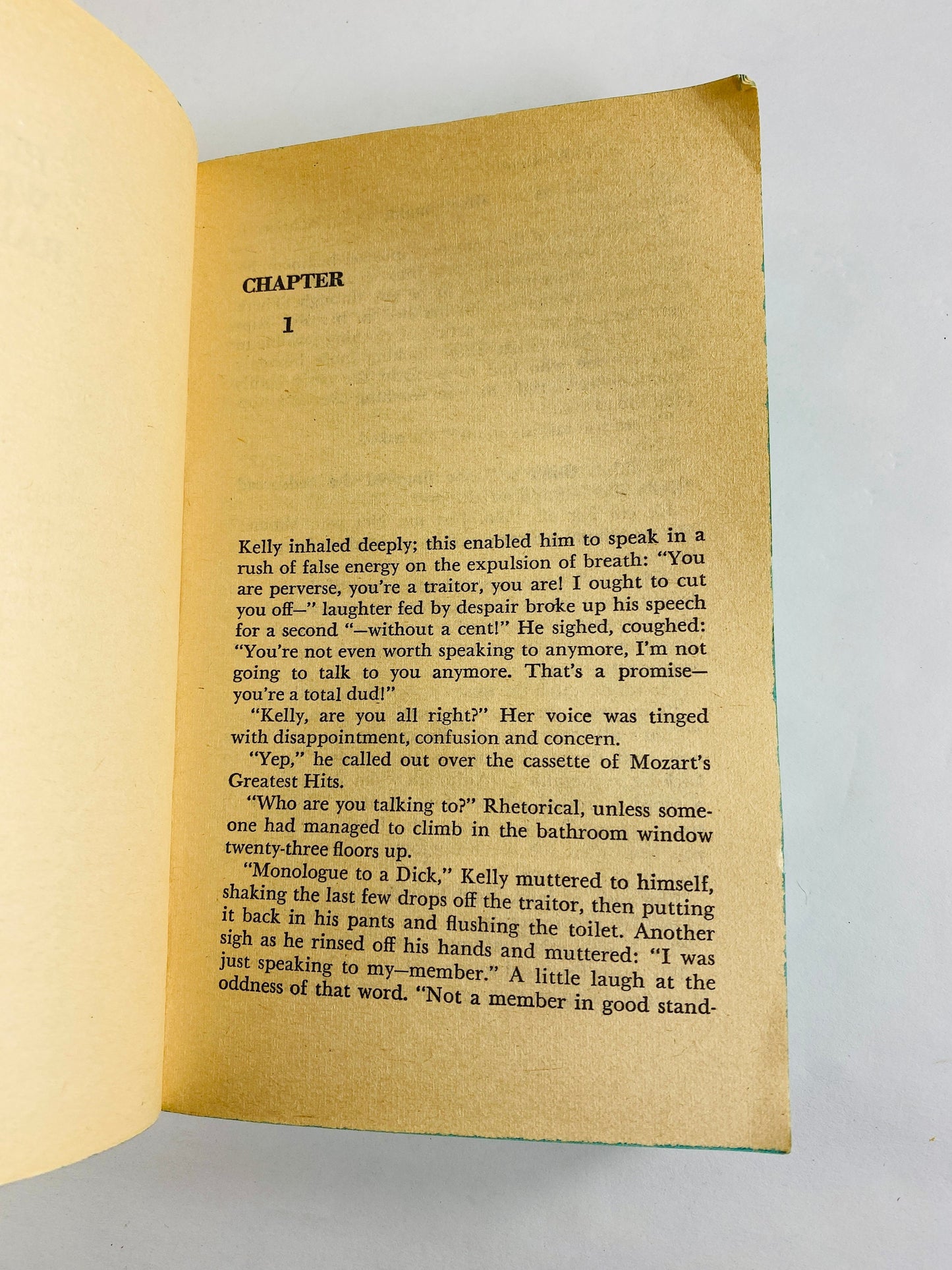 Hit Me With A Rainbow by James Kirkwood, author of Broadway hit A Chorus Line. Vintage paperback book circa 1981 Theatre love story