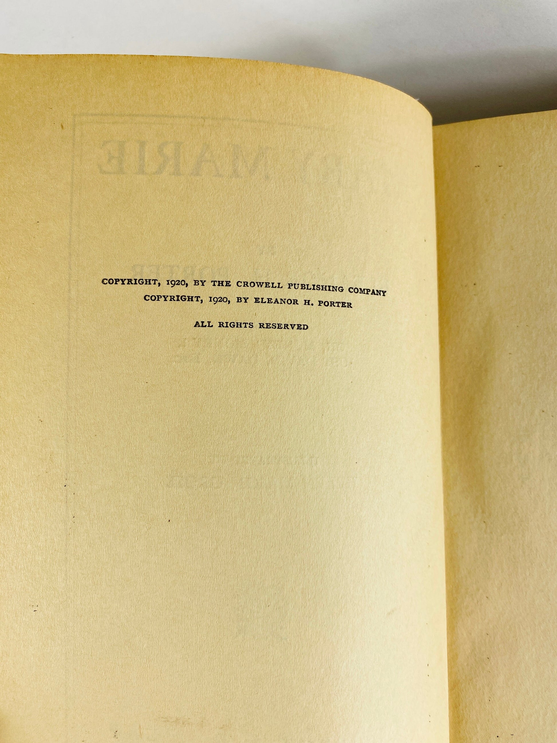 Mary Marie book by Eleanor Porter Vintage book circa 1920 Child's perspective on separation and divorce Author of Pollyanna Grosset & Dunlap