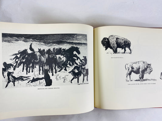 American Old West Frederic Remington artist illustrations vintage book circa 1970 original art. Yellowstone cowboys and war scenes