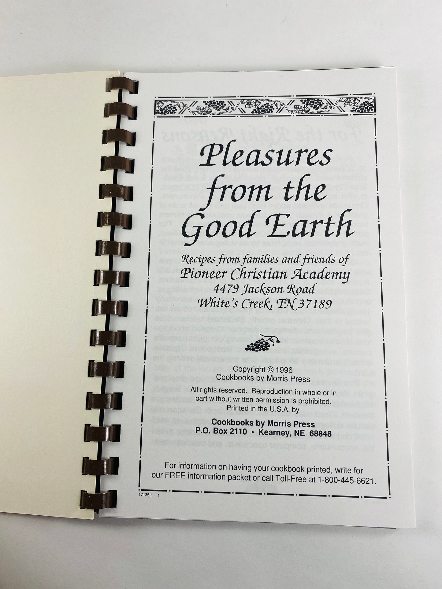 Pleasures from the Good Earth vintage cookbook Pioneer Christian Academy White's Creek Tennessee circa 1996 Fruit Dip Chocolate Chess Pie