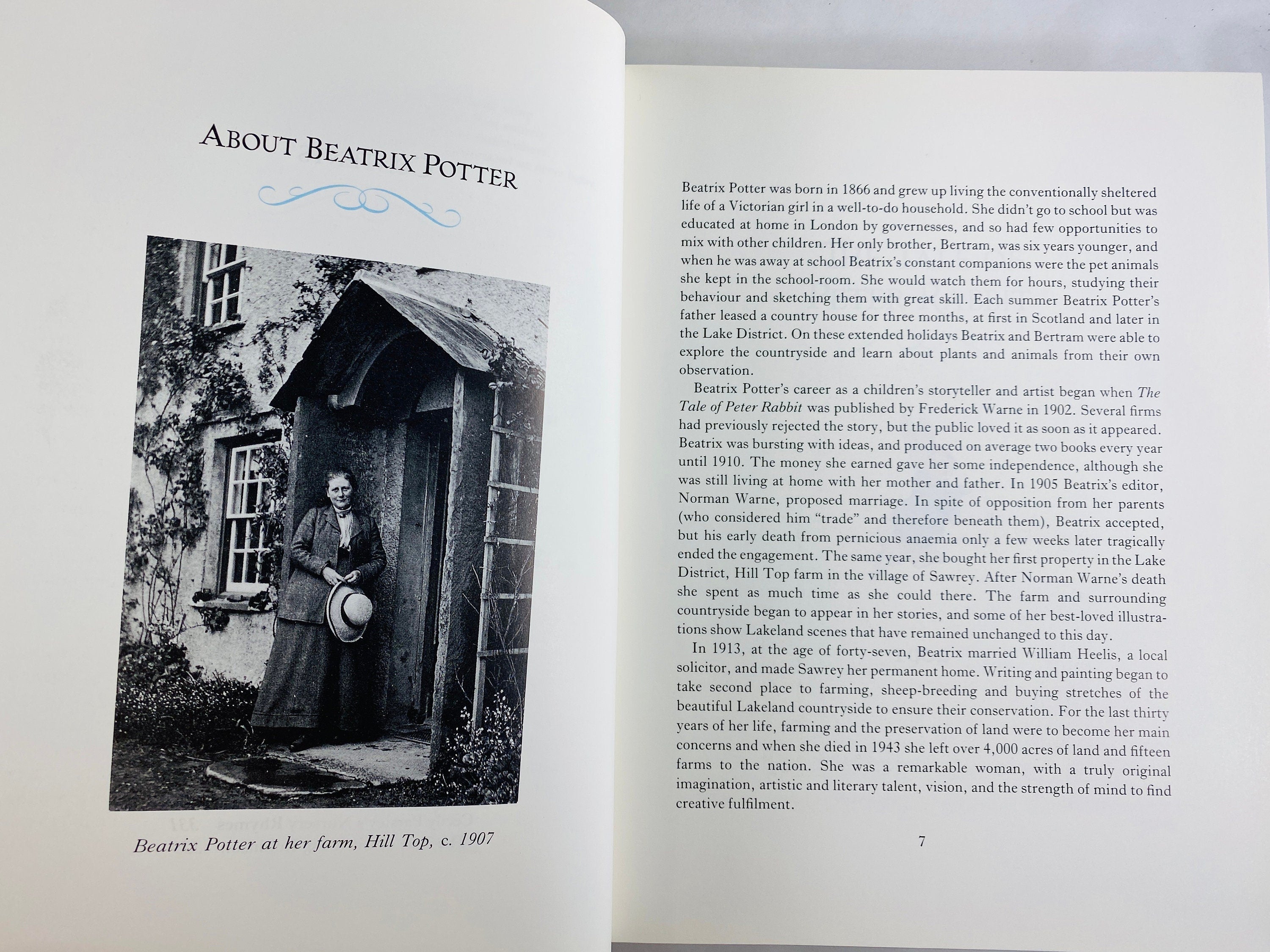 ビンテージ英語絵本 古書 Beatrix Potter 小型絵本コラージュ - 洋書