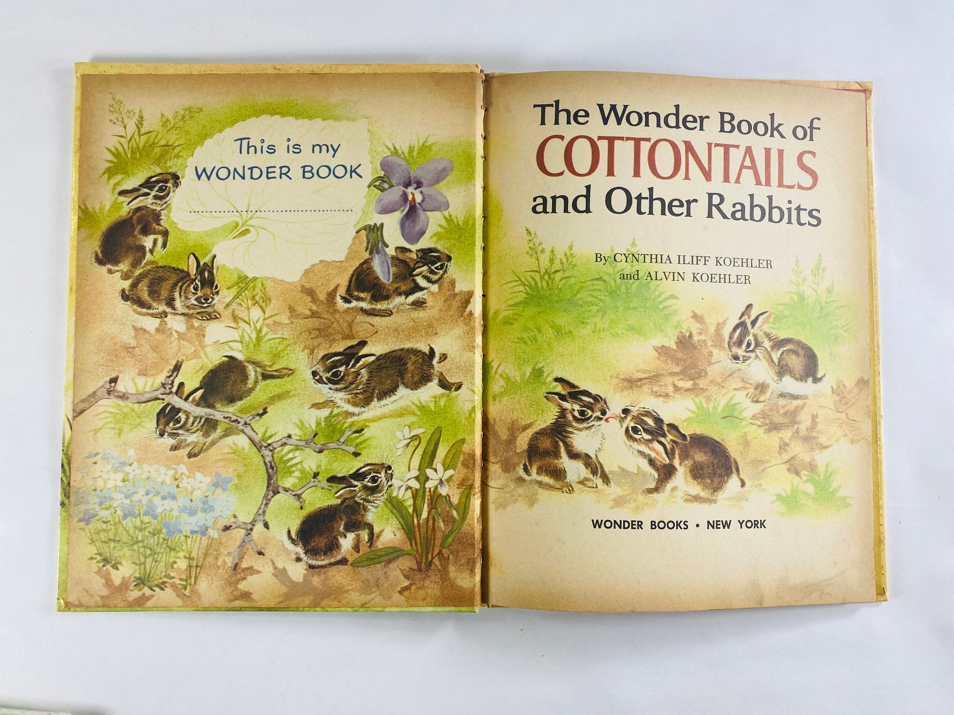 Wonder Book of Cottontails and other Rabbits vintage children's book circa 1965 by Cynthia Koehler BEAUTIFUL illustrations!