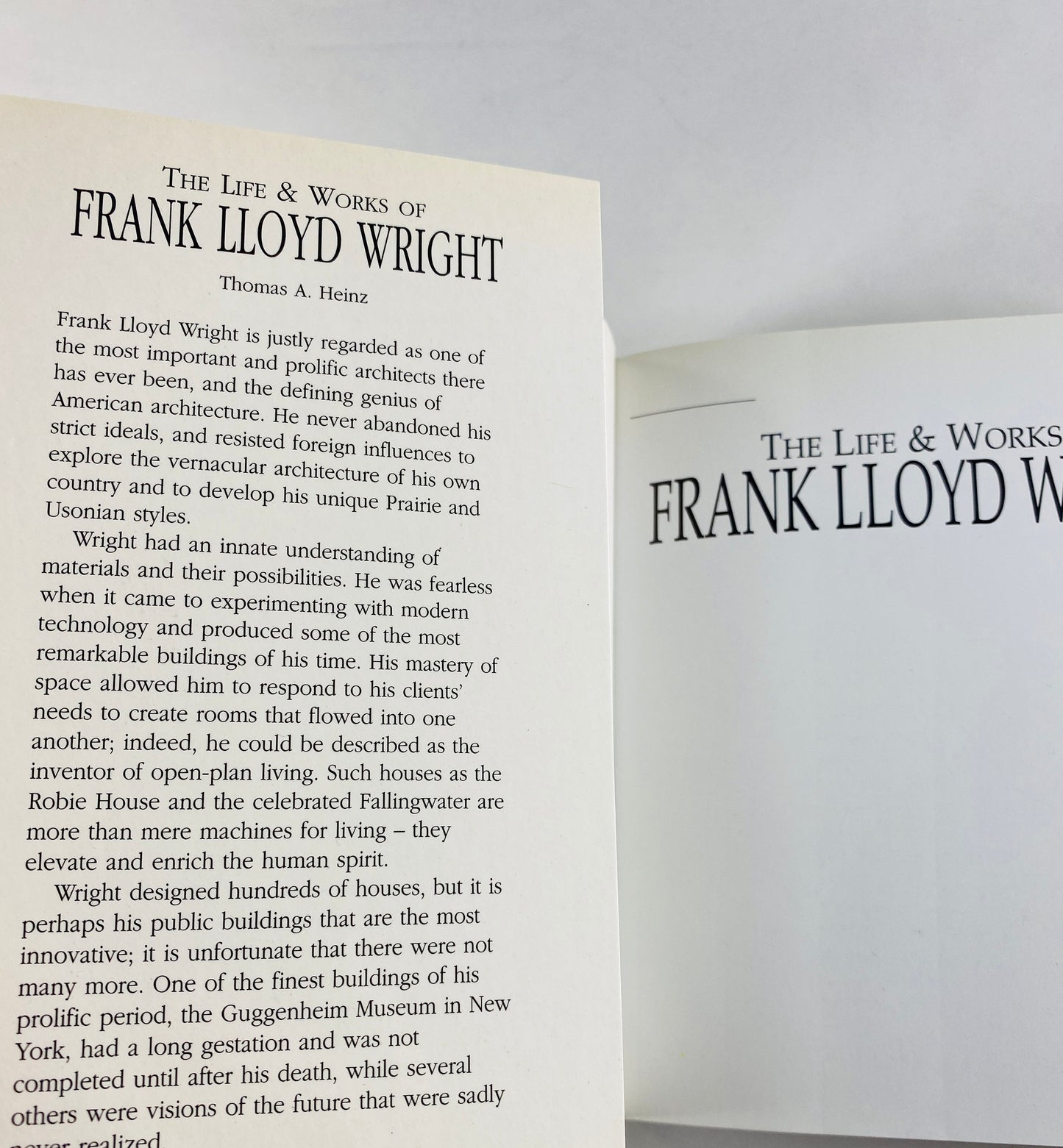Frank Lloyd Wright vintage paperback book by Thomas Heinz with GORGEOUS photographs detailing the work of this visionary architect