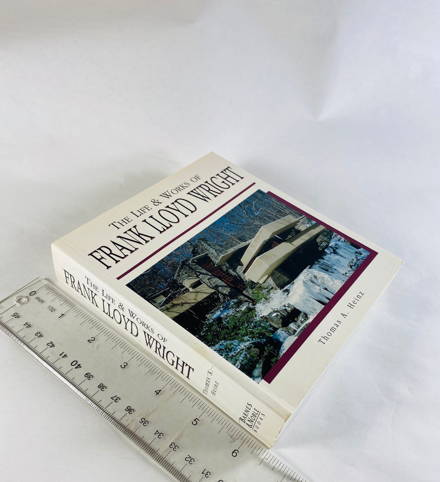Frank Lloyd Wright vintage paperback book by Thomas Heinz with GORGEOUS photographs detailing the work of this visionary architect