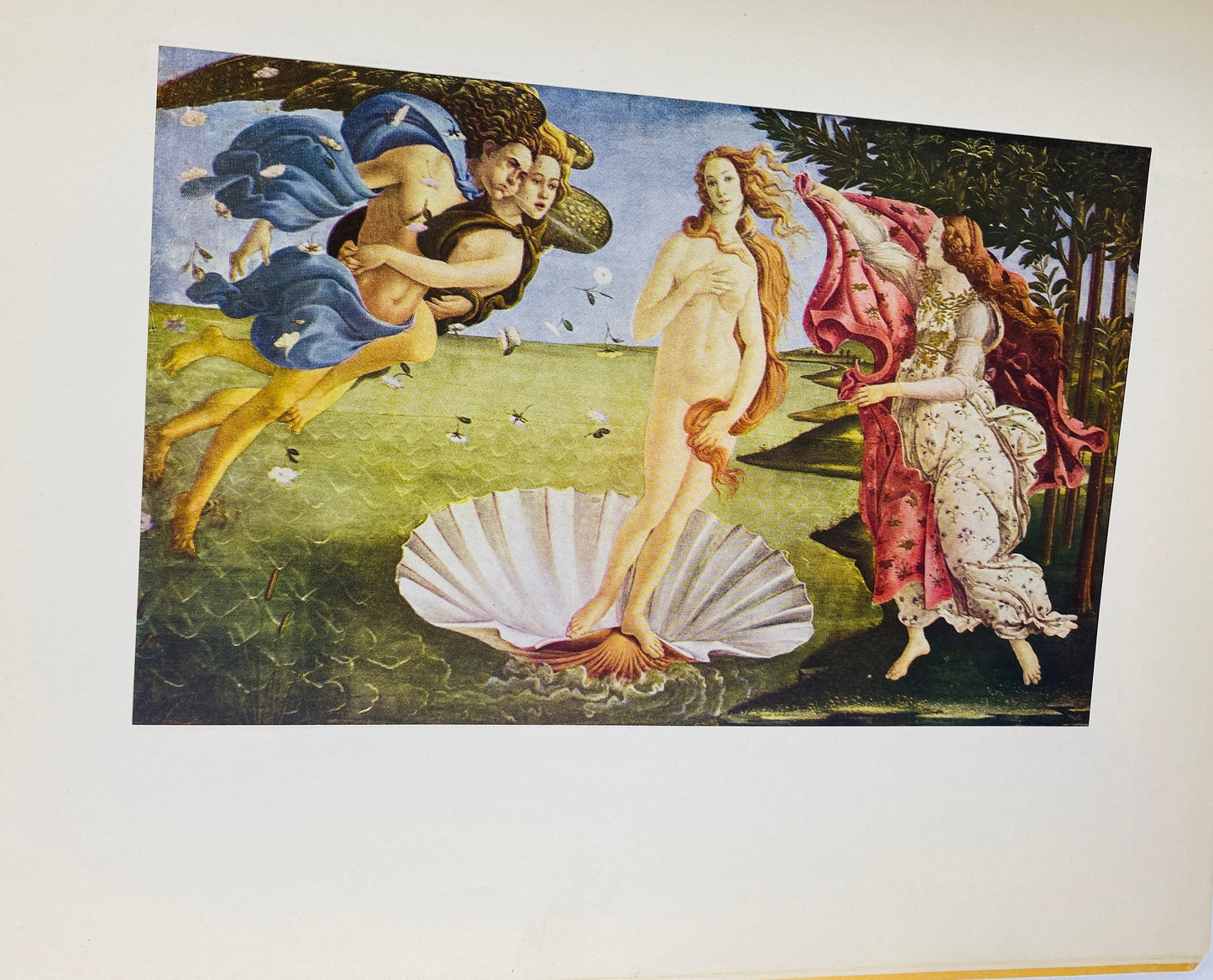 Botticelli vintage Fine Art Pitman Gallery book home decor with GORGEOUS color plates. Vibrant Mars and Venus, Portrait of a Youth 1968