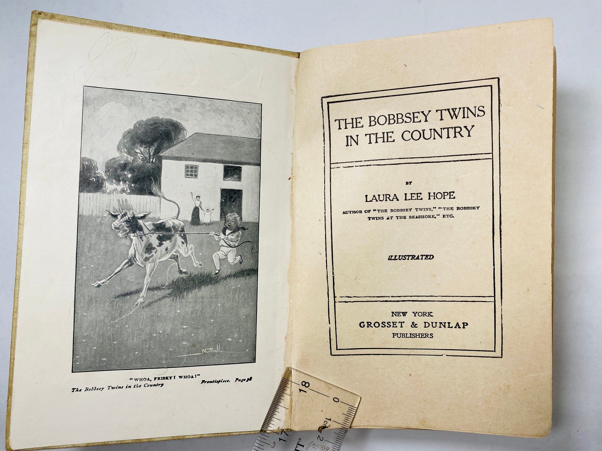 Bobbsey Twins in the Country vintage book circa 1922 by Laura Lee Hope. Antique beige white collectible. Poor Condition