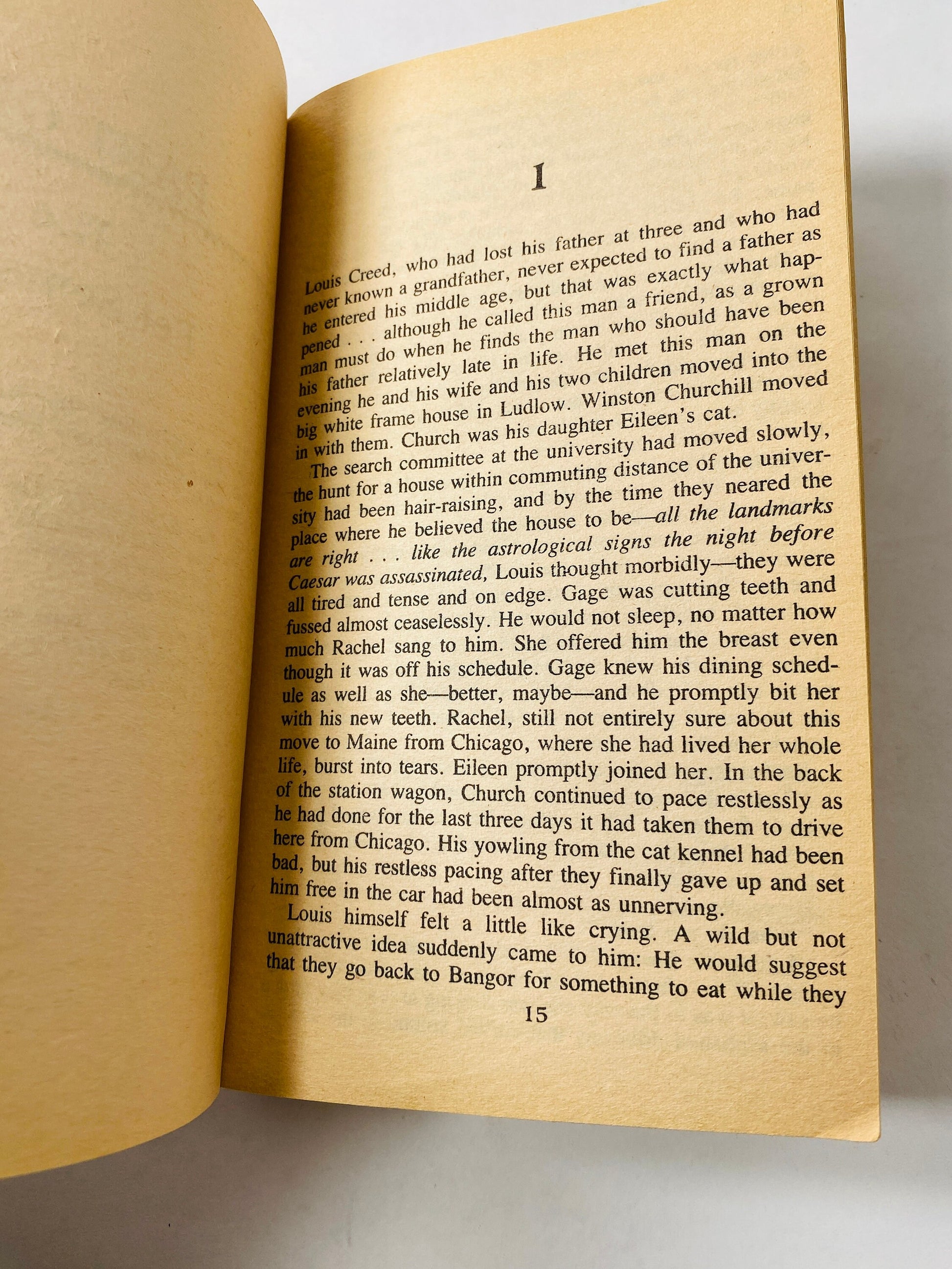 Pet Sematary by Stephen King. Vintage paperback book circa 1983. Horror & Literary Fiction. Book lover Goth Gift.