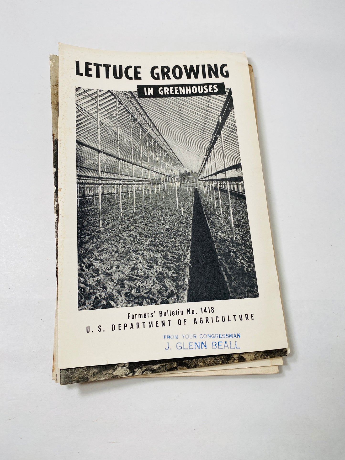 Vintage Agriculture Department farm booklets wool greenhouses muscadine grapes vegetable Wheat Smuts asparagus Strawberry eggplant homestead