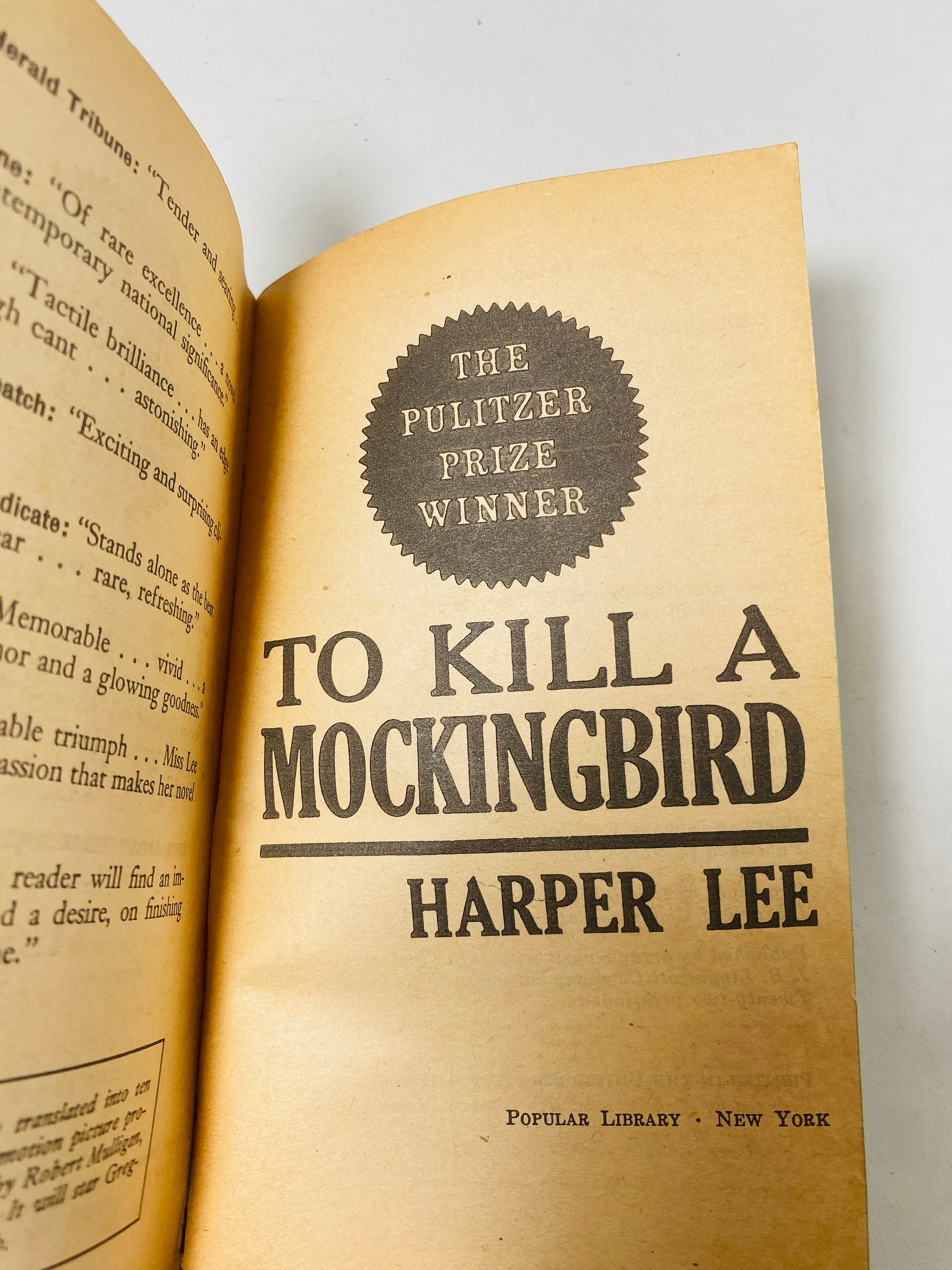 1962 To Kill a Mockingbird Book by Harper Lee vintage paperback book American classic reading 100 Best Novels Pulitzer Prize